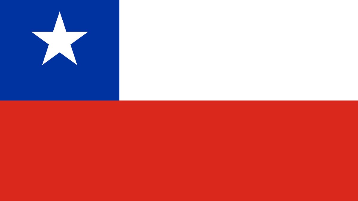 Bandera de Chile — traslado de perro a USA